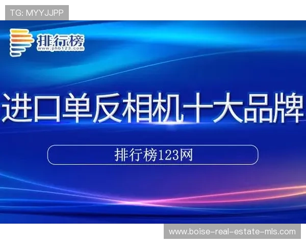凯发集团登录网址下载指南帮助用户快速安全登录平台