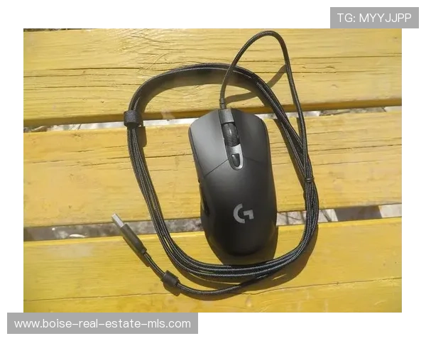 凯发电竞登陆平台安全稳定，支持多种支付方式，保障玩家游戏体验与账户安全