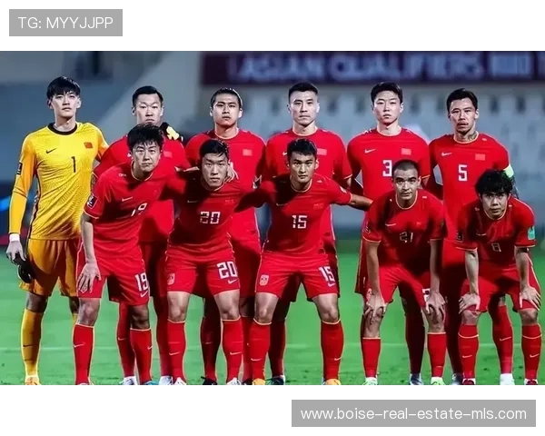 2026年世界杯48支参赛球队高清图片，助你提前了解每支球队的队员和队徽